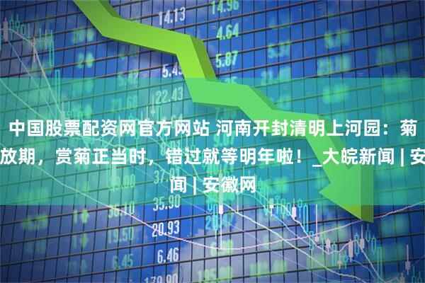 中国股票配资网官方网站 河南开封清明上河园：菊花怒放期，赏菊正当时，错过就等明年啦！_大皖新闻 | 安徽网